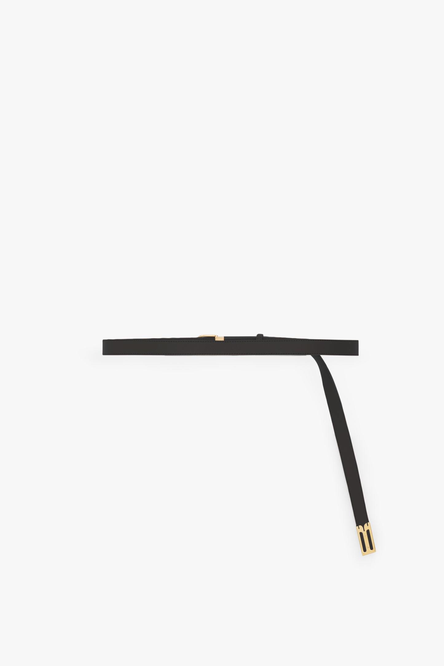 Dorian B Finite Belt