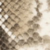 Snake Print Leather